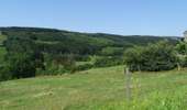 Trail On foot Stoumont - 6. Moulin du Ruy - Heilrimont - Roanne - Photo 9