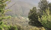 Randonnée Marche Banyuls-sur-Mer - Col Banuyls  - Photo 3