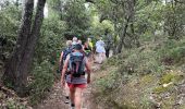 Trail Walking Vaugines - PF-Vaugines - Cucuron - l'Ermitage - Vaugines - 17.06.2021 - Photo 11
