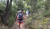 Tocht Stappen Vaugines - PF-Vaugines - Cucuron - l'Ermitage - Vaugines - 17.06.2021 - Photo 11