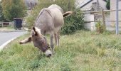 Percorso Marcia Mont Lozère et Goulet - arsel chasserades au bleymard  - Photo 1