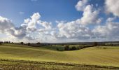 Tocht Stappen Arcisses - Coudreceau, les panoramas du Perche Eurélien 9,4 km - Photo 1