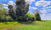 Randonnée Marche Milly-la-Forêt - Boucle Milly la Forêt - Vaudoué via les 3 pignons et les bords de l'école - Photo 13