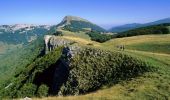 Tour Wandern Omblèze - 2021-07-26_17h20m33_1627312809705_Plateau d_Ambel 15km.gpx.xml - Photo 3