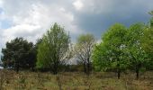 Tour Zu Fuß Nunspeet - 't Kuierpaodje - Photo 6