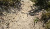 Tour Wandern Maisse - Maisse - Forêt communale de Milly-la-Forêt - Photo 9