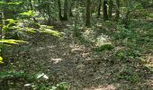 Trail Walking Oncy-sur-École - Oncy-sur-École - Grotte aux Fées  - Photo 6