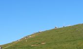 Trail Walking Sainte-Marie-du-Mont - col de l'Alpes - Photo 7