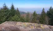 Trail Walking Reinhardsmunster - Reinhardsmunster - château Ochsenstein - tour du Brotsch - Photo 18