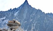 Tocht Stappen Chamonix-Mont-Blanc - Trajet Retour - Photo 5