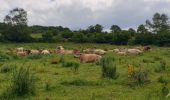 Trail Walking Laguiole - Soulagese Chateau du  ousquet - Photo 13