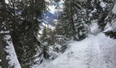 Randonnée Raquettes à neige Orsières - Champex Lac - Belvédère - Champex Lac - Photo 6