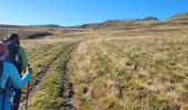 Tour Wandern Chambon-sur-Lac - puy de sancy - Photo 13