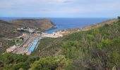 Tour Wandern Cerbère - Cerbere-Porbou-court_T - Photo 4