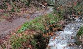 Trail Walking Malmedy - Cascade de Bayehon  - Photo 9