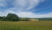 Tour Wandern Bastnach - rando lutrebois 2-06-2022 - Photo 4