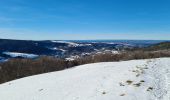 Randonnée Raquettes à neige Murat-le-Quaire - la Banne par le tenon - Photo 10