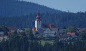 Tour Zu Fuß Edelschrott - Hans Klöpfer Rundwanderweg - Photo 2