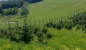 Tocht Stappen Bouillon - Rochehaut - Frahan - Poupehan - les échelles - Rochehaut  - Photo 1