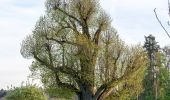 Tour Zu Fuß Schöntal - Rundweg 2 Neusaß - Photo 8