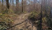 Trail Walking Dinant - Randonnée - Photo 5