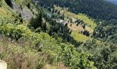 Tour Wandern Sulzern - Tanet-Gazon du Fain-Tanet - Photo 4