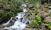 Excursión Senderismo Chamonix-Mont-Blanc - J8 - Cascade du Dard - Photo 11