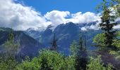 Randonnée Marche Pralognan-la-Vanoise - col de napremont - Photo 12