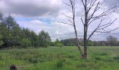 Trail Walking Theux - lareid . vertbuisson . haut marais . fraineux . la reid  - Photo 12