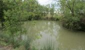 Excursión Bici de montaña Fouras - Soumard et les marais - Photo 3