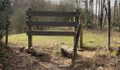 Trail Walking Entrelacs - La Chambotte - Photo 2