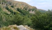 Trail Walking Stosswihr - le sentier des roches  - Photo 8