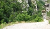 Trail Walking Le Saix - Le Fai - Lac de Peyssier - Photo 18