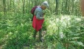 Randonnée Marche Fontainebleau - maison forestière Bois le Roi 19 mai 2023  - Photo 3