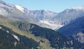 Trail Walking Naters - De Belalp à Nessel par le bisse de Nessjeri - Photo 8