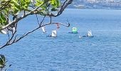 Excursión Senderismo Les Trois-Îlets - Boucle de Anse à l'âne et Galochat à Trois-Îlets. - Photo 11