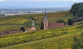 Randonnée Marche Nothalten - L'Abbaye de Baumgarten - Photo 12