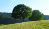 Tour Zu Fuß Stadel - Windlach - Zweidlen - Photo 8