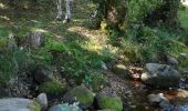 Trail Horseback riding Plainfaing - Acpl 2ème jour plainfaing  - Photo 6
