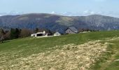 Tour Wandern Metzeral - 24 04 14 autour d’Uffrain - Photo 4