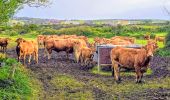 Trail Walking Les Pieux - Séjour Cotentin Etape 5 Les Pieux - Barneville - Photo 9