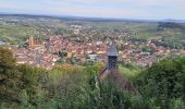 Excursión Senderismo Arbois - Arbois Église Saint Just / Chapelle Notre Dame de l'Ermitage/ Cascade des Tufs/ Les Planches près d'Arbois / Cirque du Fer à Cheval / Belvédère de la Châtelaine/ La Roche du Feu/ Meslay/ Arbois  - Photo 14