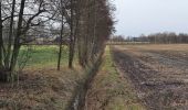 Tour Zu Fuß Neuenkirchen - Rote Nordic-Walking-Strecke - Photo 7