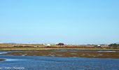 Tocht Te voet Almancil - PP Ria Formosa - Photo 1