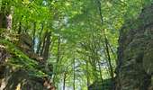 Randonnée Marche Beaufort - Mullerthal - Extra Tour B - Photo 4