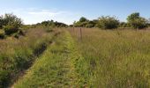 Trail Walking Juville - côte de Delme - Photo 1