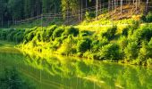 Excursión A pie Vöhrenbach - DE-noch unvollständig, geht weiter - Photo 1