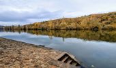 Randonnée A pied Fontainebleau - Sur les traces de Rosa Bonheur - Thomery - Photo 6