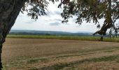 Percorso Mountainbike Saint-Clément - sortie vtt du 08082018 baccarat badmenil  solo - Photo 4