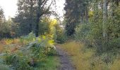 Tocht Stappen Baelen - Membach - Limbourg - Barrage de la Gileppe - Photo 11